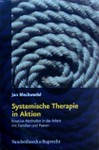 J. Bleckwedel: Systemische Therapie in Aktion